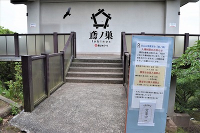 鳶の巣1.jpg