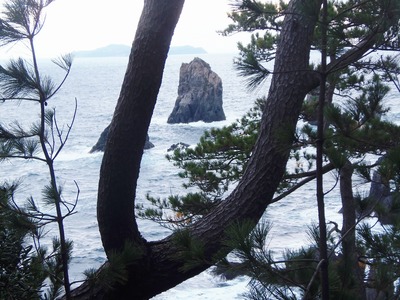 Ｕ字松とカモメ岩.jpg