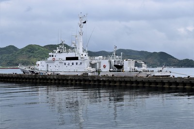 n巡視船「おおみ」.jpg